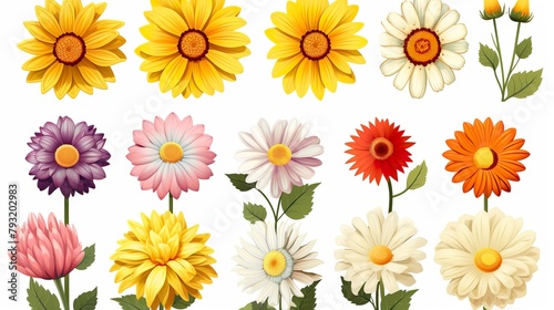 A collection of vibrant daisy flowers in multiple colors with visible petals, stems, and leaves, suitable for botany themes