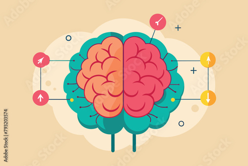 Diagram of the Human Brain, looking for parts of the brain, Simple and minimalist flat Vector Illustration