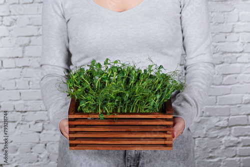 A woman with a box of microgreens against a white wall, presenting her hobby of growing a mini-garden at home.