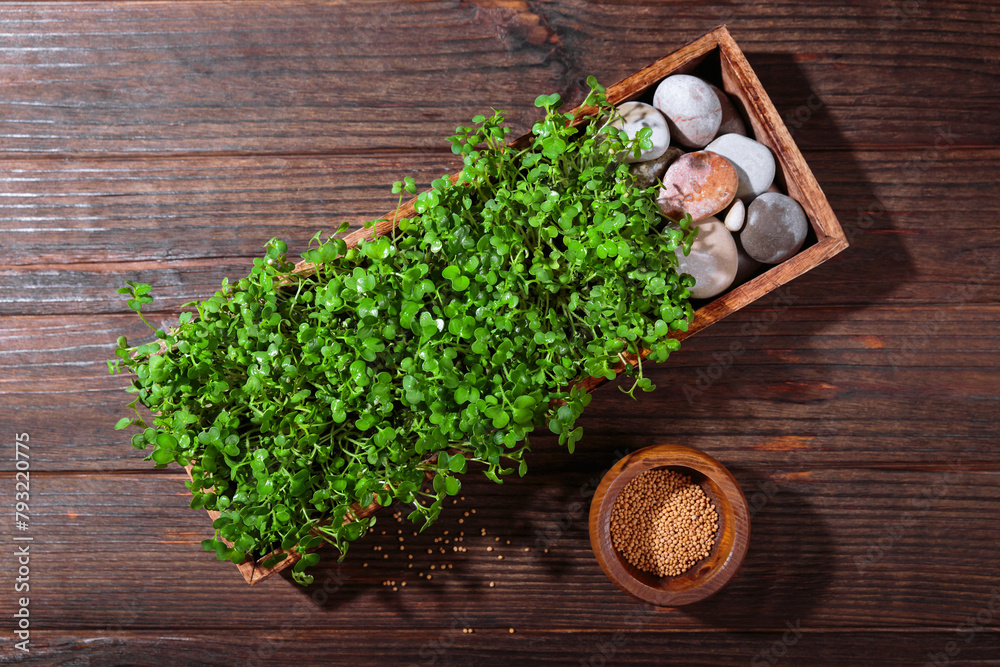 Fototapeta premium Freshly grown mustard microgreens in a rustic wooden box on wooden background, a healthy superfood concept.