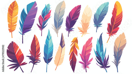 Vector colored bird feathers isolated on the alpha photo