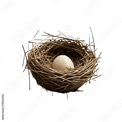 nest with eggs, egg in nest, cut out 