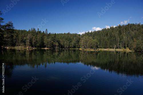  Idyllic Möserer See on a Bright Summer Day