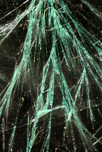 Polarization microscopy of copper sulfate crystals at 100x.