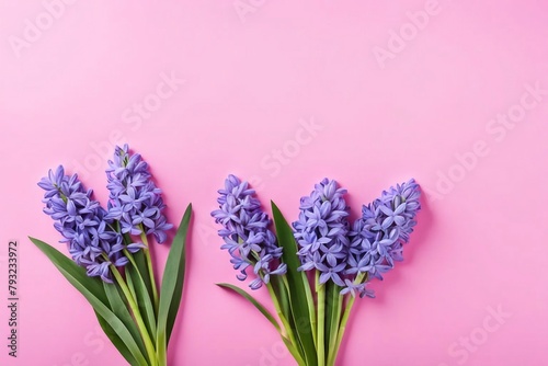 bouquet of spring tulips