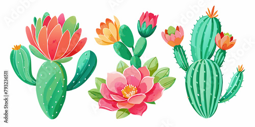 Three types of cactus with colorful flowers in a white background. These desert plants add a pop of color to any flowerpot or garden. Perfect for botanical art or studying botany