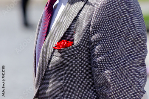 Detail of a red carnation on the jacket of a man in a suit celebrating April 25th in Portugal. Day of freedom, carnation revolution