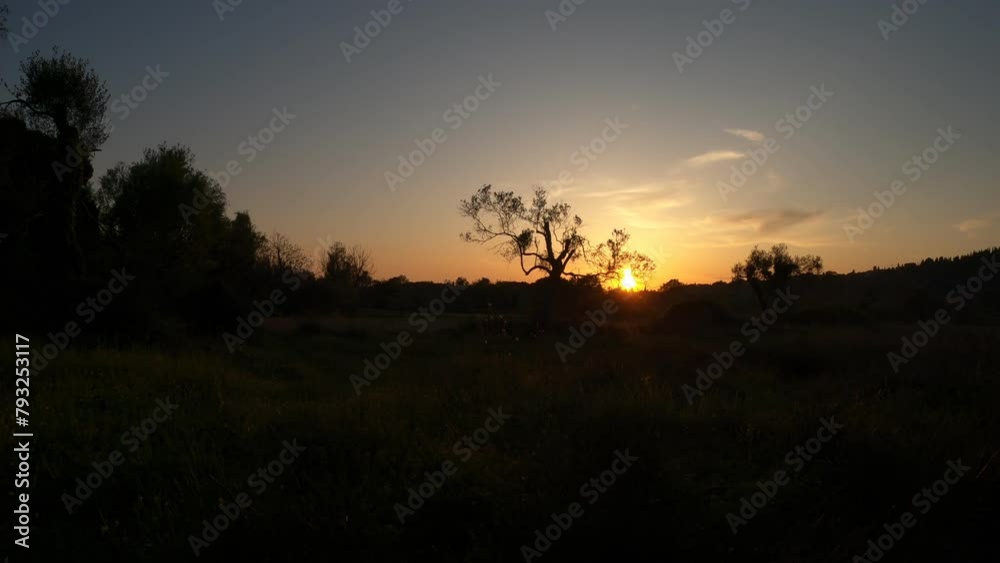 beautiful view rural landscape. field and grass beautiful view rural landscape. field and grass