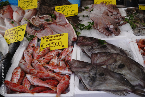 Fresh fish market hall