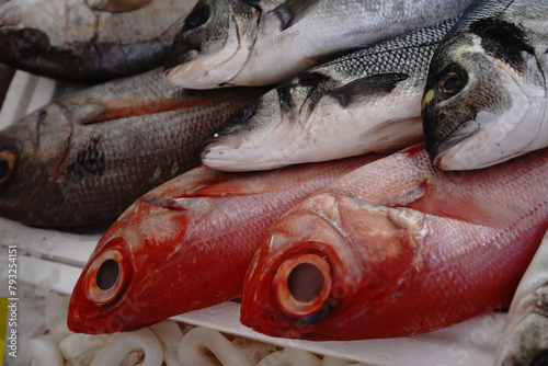 Fresh fish market hall