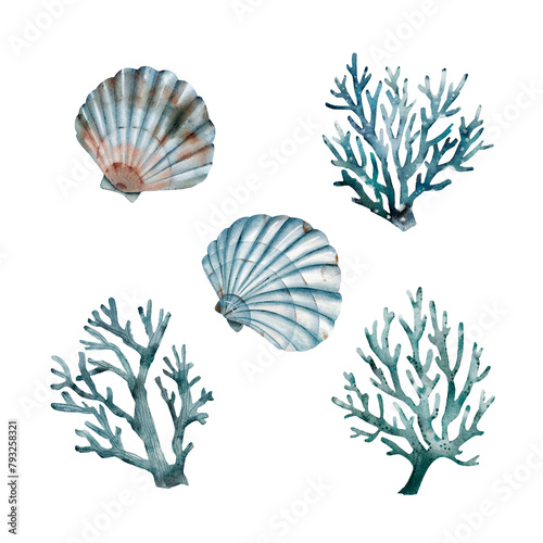 set of watercolor illustrations in a marine style on a white background, with hand-drawn corals and shellfish