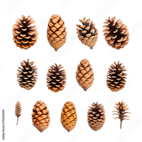 A collection of small pine cone for Christmas tree decoration isolated against a white background