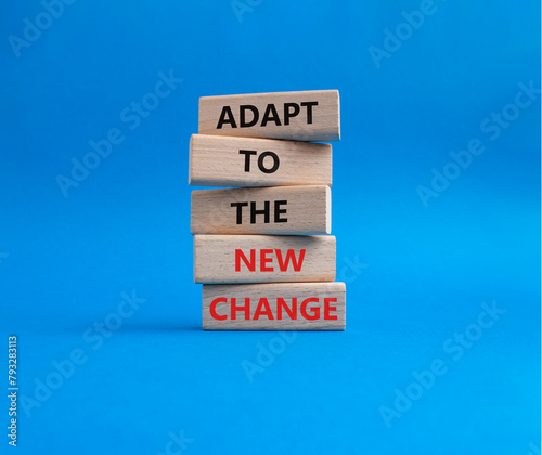 Manage and Adapt to Changes symbol. Wooden blocks with words Manage and Adapt to Changes. Beautiful blue background. Business and Manage and Adapt to Changes concept. Copy space.