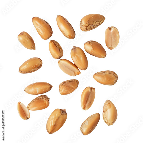 Cedar pine nuts in their shells delicately arranged on a transparent background
