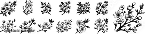 cherry blossom, nature plant floral vector black ornamental, floristic decoration illustration, silhouette svg, laser cutting cnc engraving photo