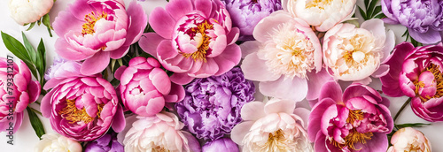Summer flowers layout, background, wallpaper or texture. Flat-lay of pink and purple peony flowers arrangement over plain white background, top view. Florist shop website banner or wallpaper
