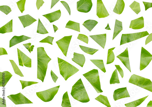 Green cut leaves isolated on white background and texture, top view