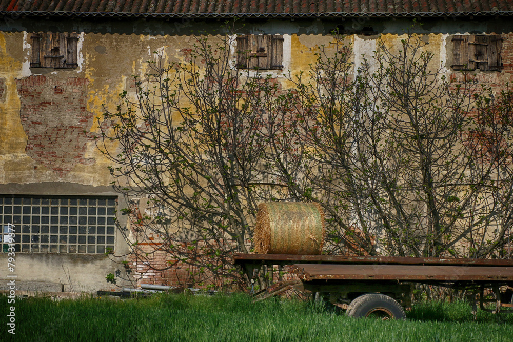 Naklejka premium Volpeglino, forgotten roll, Alessandria, Piedmont, Italy