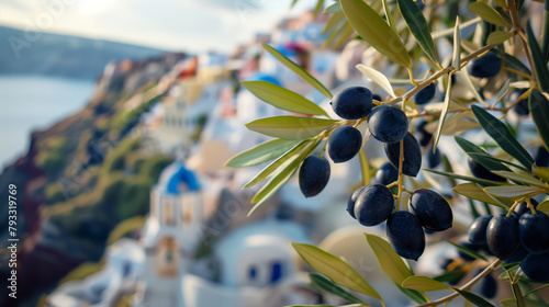 Dark olives on the branch of an olive tree with sea and Greek island on the background photo