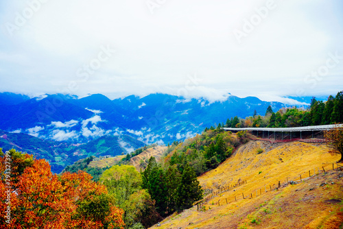 ali shan mountain and qingjing farm landscape in Taiwan photo