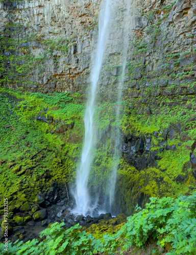 Waterfall in Umpqua National Forest