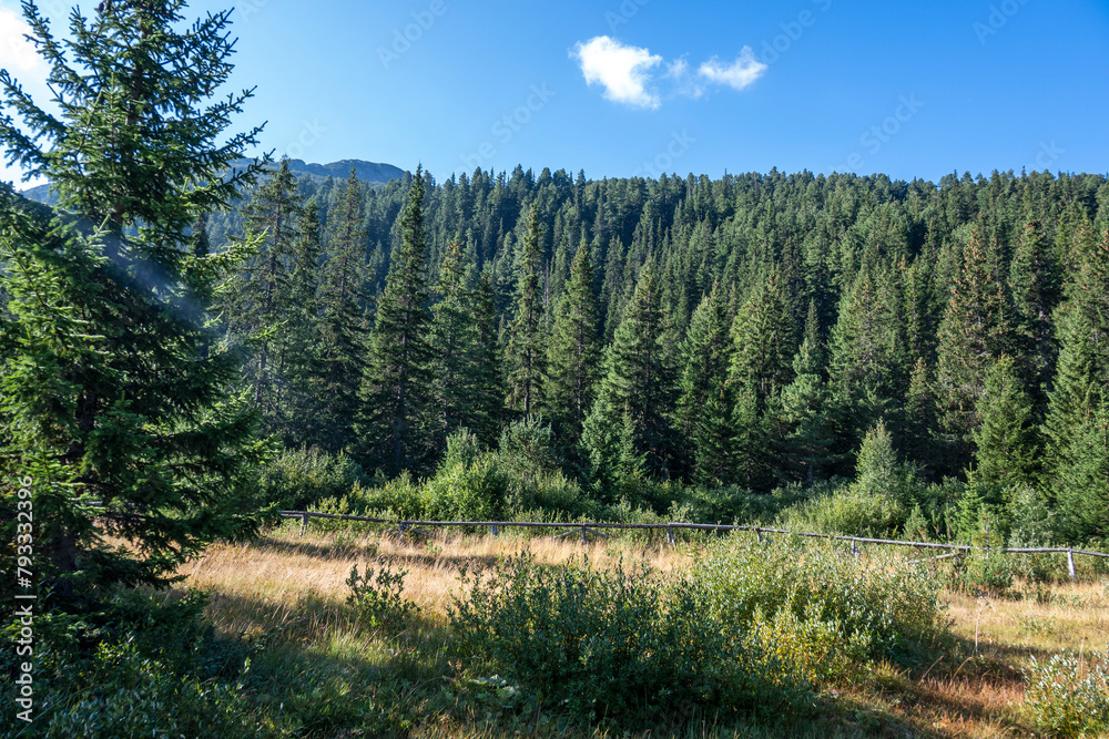 Landscape of area of Tiha Rila, Rila mountain, Bulgaria