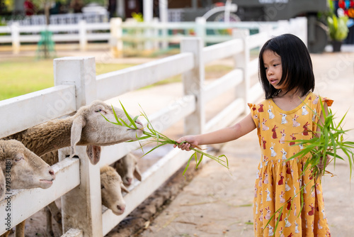Smiling woman in a summer park, wearing a yellow dress, Standing and feeding fresh grass to sheep animal amidst nature in the farm. © Kanthita