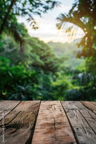 a blank wooden table with the lush green nature forest in background