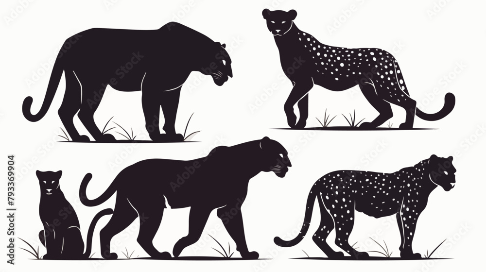 Walking Standing Tiger Leopard Cheetah Black Panthe