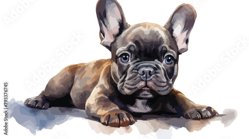 Watercolor Cute French Bulldog Clipart 2d flat cart © Mishi