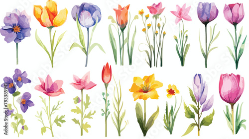 Watercolor Spring Flower Clipart 2d flat cartoon va