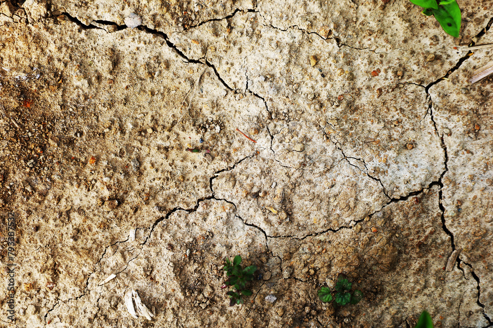 texture of ground texture of ground