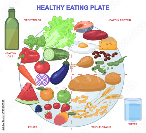 Healthy eating plate. Diet diagram with breakdown of nutrients. Educational scheme with food. Proteins, grains, fats and vegetables. Cartoon flat vector illustration isolated on white background