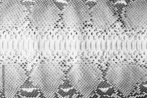black and white python skin as background. snake skin texture with natural pattern