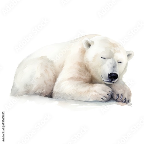 Polar bear isolated on a white background. Watercolor illustration.