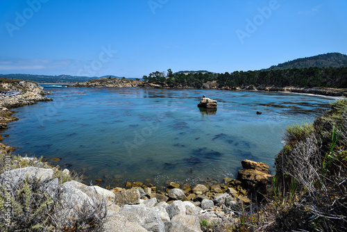 The Whaler's Cove in Point Lobos State Reserve - California, USA