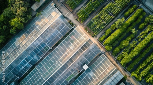 4 large industrial greenhouses with space between them, drone view