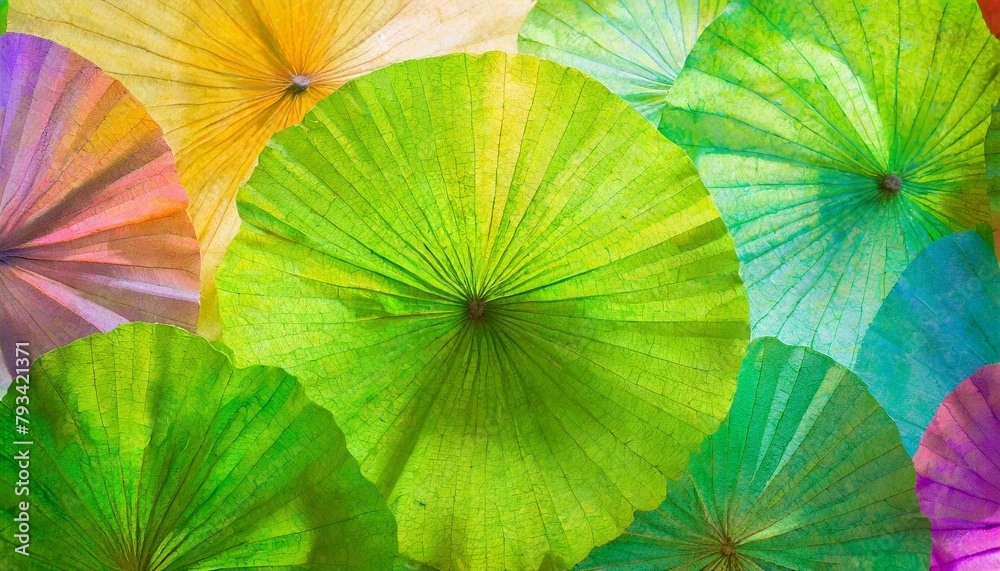Abstract background material inspired by leaves and the refreshing climate of summer.