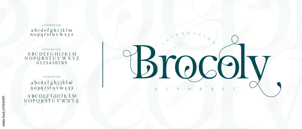 Elegant Brocoly Font Uppercase Lowercase and Number. Classic Lettering Minimal Fashion Designs. Typography modern serif fonts regular decorative vintage concept. vector illustration