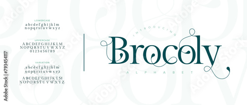 Elegant Brocoly Font Uppercase Lowercase and Number. Classic Lettering Minimal Fashion Designs. Typography modern serif fonts regular decorative vintage concept. vector illustration
