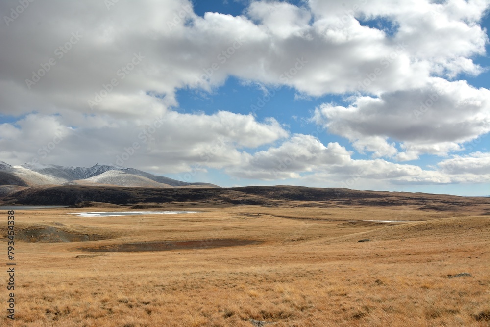 A wide flat steppe with yellowed dry grass at the foot of snow-capped mountains in the shade from low clouds on a sunny autumn day.