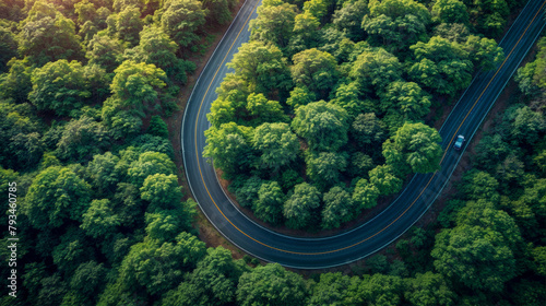 Aerial view of a winding road through the forest. Top view © LAYHONG