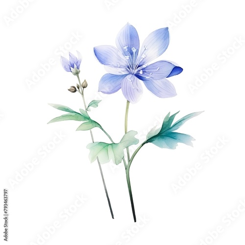 Watercolor blue flowers isolated on white background. Hand drawn illustration.