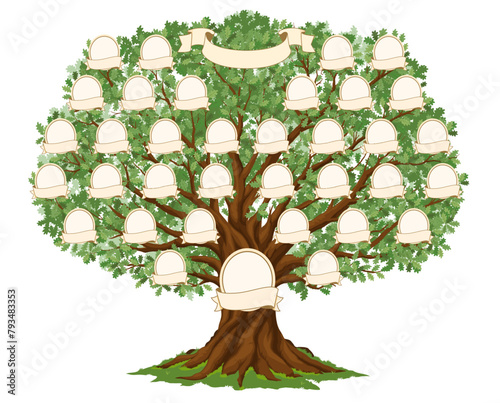 Genealogy family tree for ancestry history with photo frames on branches, vector template. Family tree with parents relationship connection and blank picture frames with name ribbons for genealogy