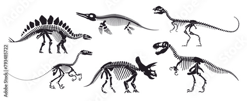 Dinosaur skeleton fossil, isolated dino bones. Vector reptile animal silhouettes. Avaceratops, basilosaurus, stegosaurus, eoraptor, gallimimus, tyrannosaur ancient reptilian prehistoric remnants