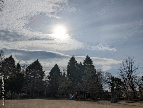 冬の寒々とした陽射し