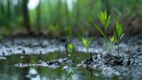 Regarding a rainy day during the rainy season, tiny plants are emerging from submerged, muddy earth and space, Generative AI.