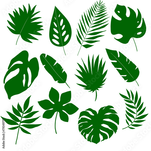 Tropical leaf icons  abstract  jungle  forest  leaves  simple  set 
