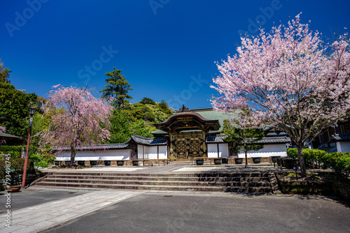 鎌倉の風景 春の建長寺