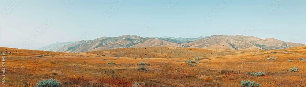 Rolling hills under clear sky, open terrain with trees, tranquil view, wide panorama